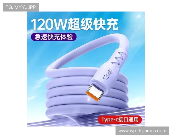 120瓦游戏专用充电器高效快速充电解决方案助力游戏体验提升 120瓦游戏专用充电器高效快速充电解决方案助力游戏体验提升